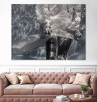 Innocent by Peter Morneau on GIANT ART - beige photo art