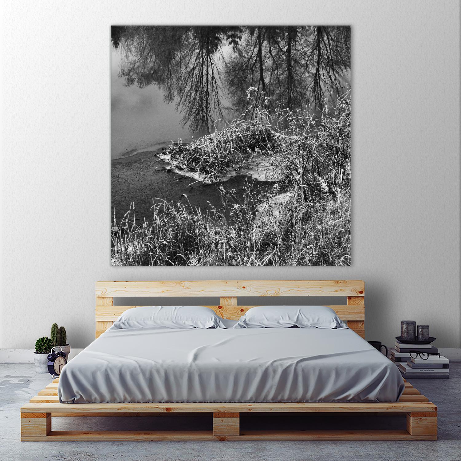 First Frost II by Jean-François Dupuis on GIANT ART - white black & white reflection