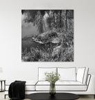 First Frost II by Jean-François Dupuis on GIANT ART - white black & white reflection