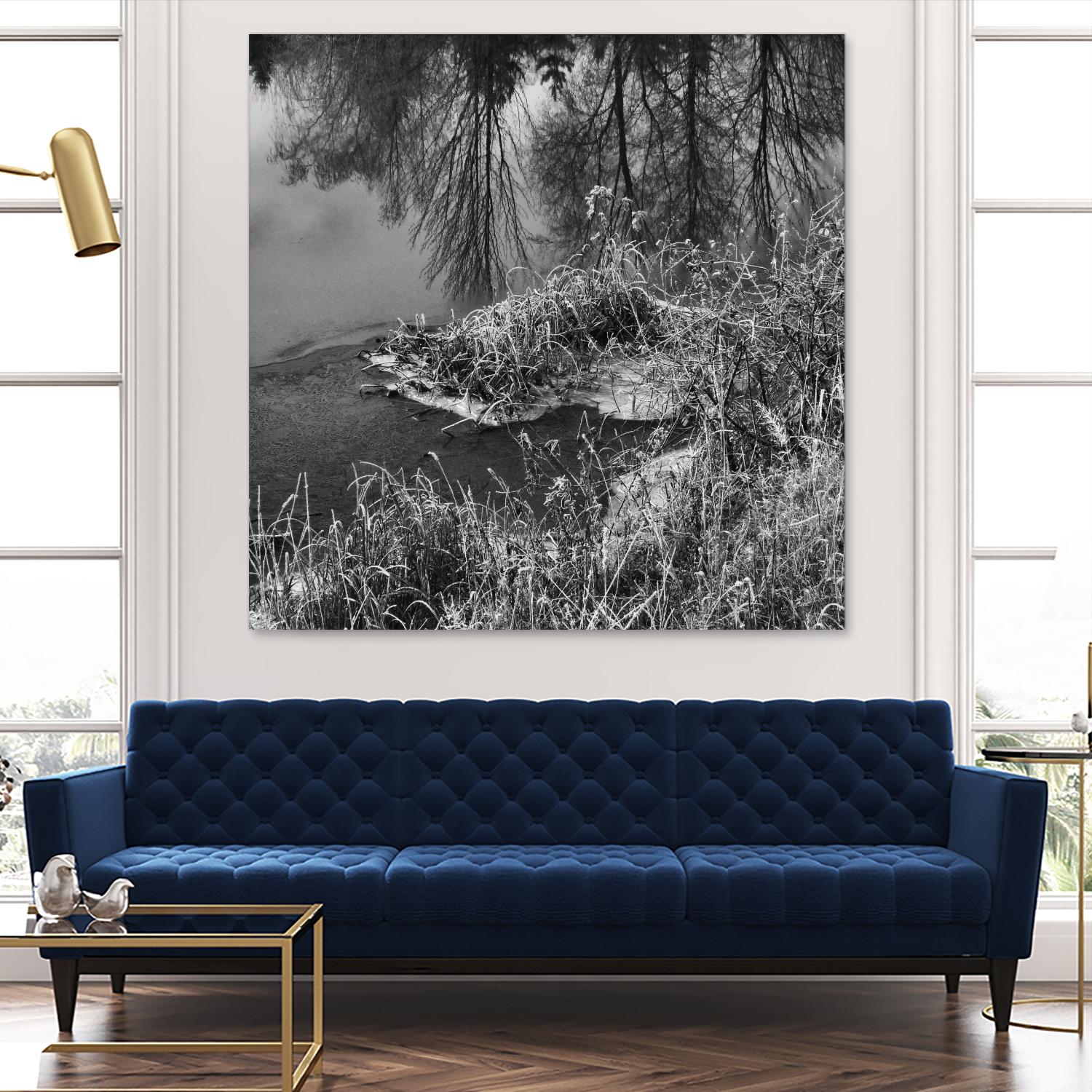 First Frost II by Jean-François Dupuis on GIANT ART - white black & white reflection