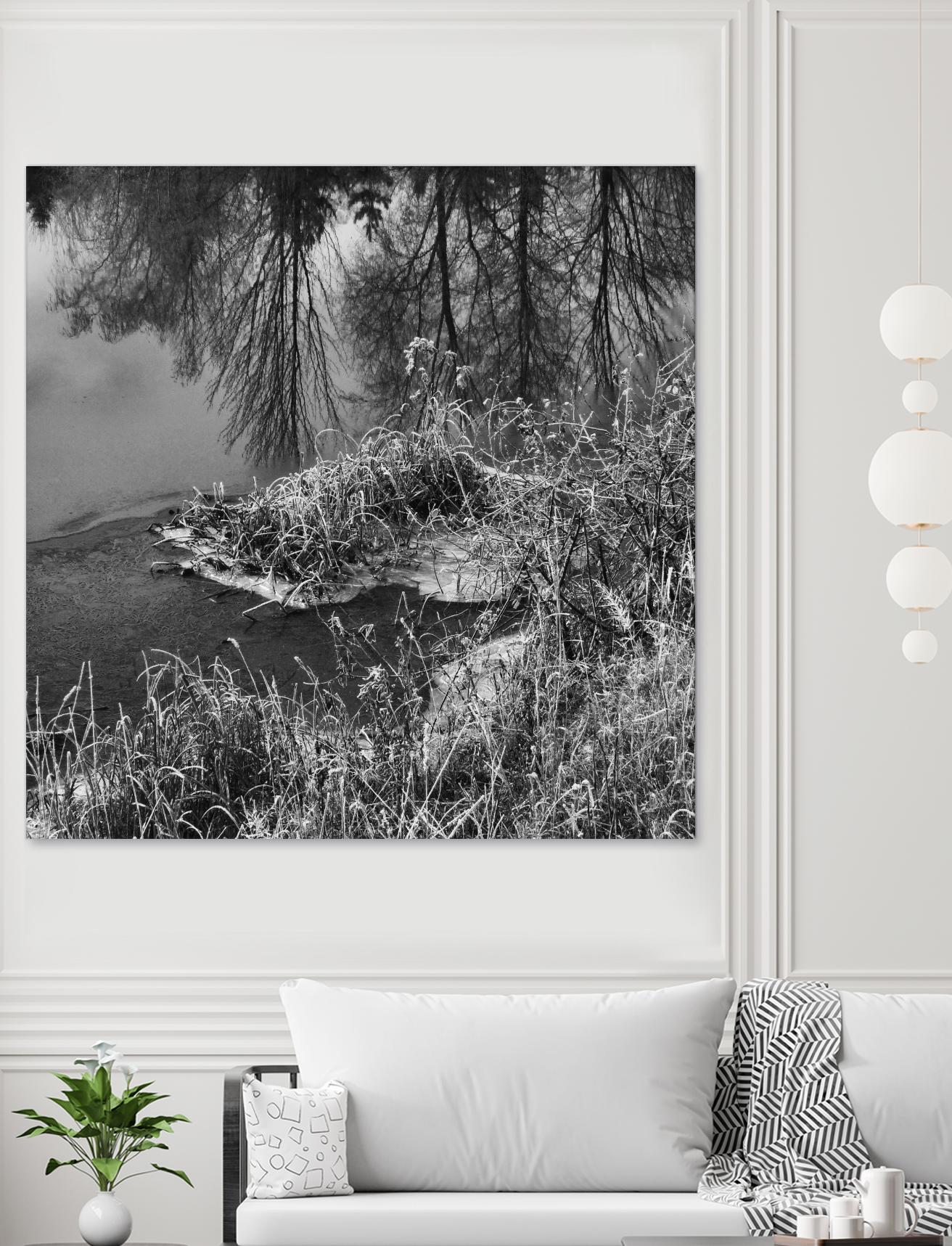 First Frost II by Jean-François Dupuis on GIANT ART - white black & white reflection