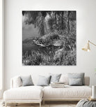 First Frost II by Jean-François Dupuis on GIANT ART - white black & white reflection