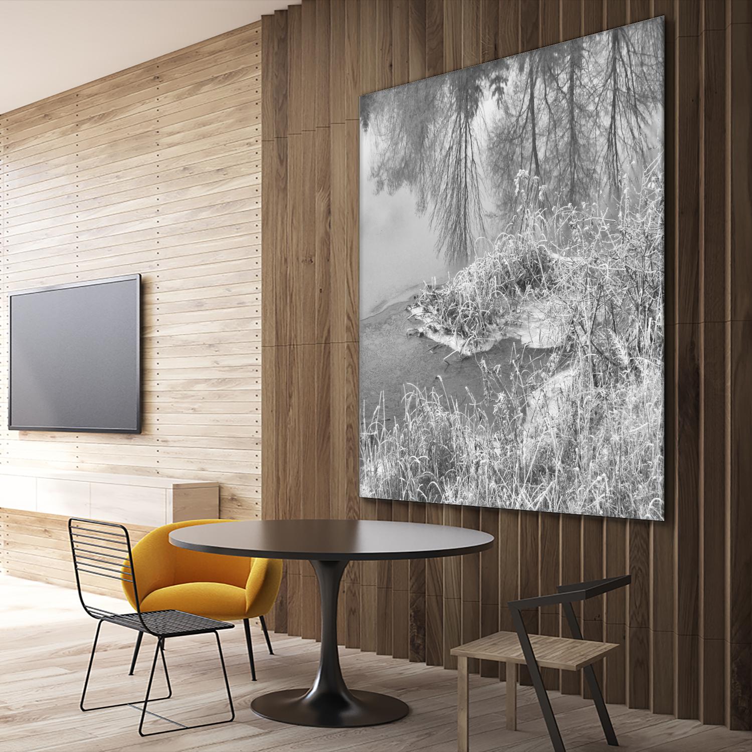 First Frost II by Jean-François Dupuis on GIANT ART - white black & white reflection