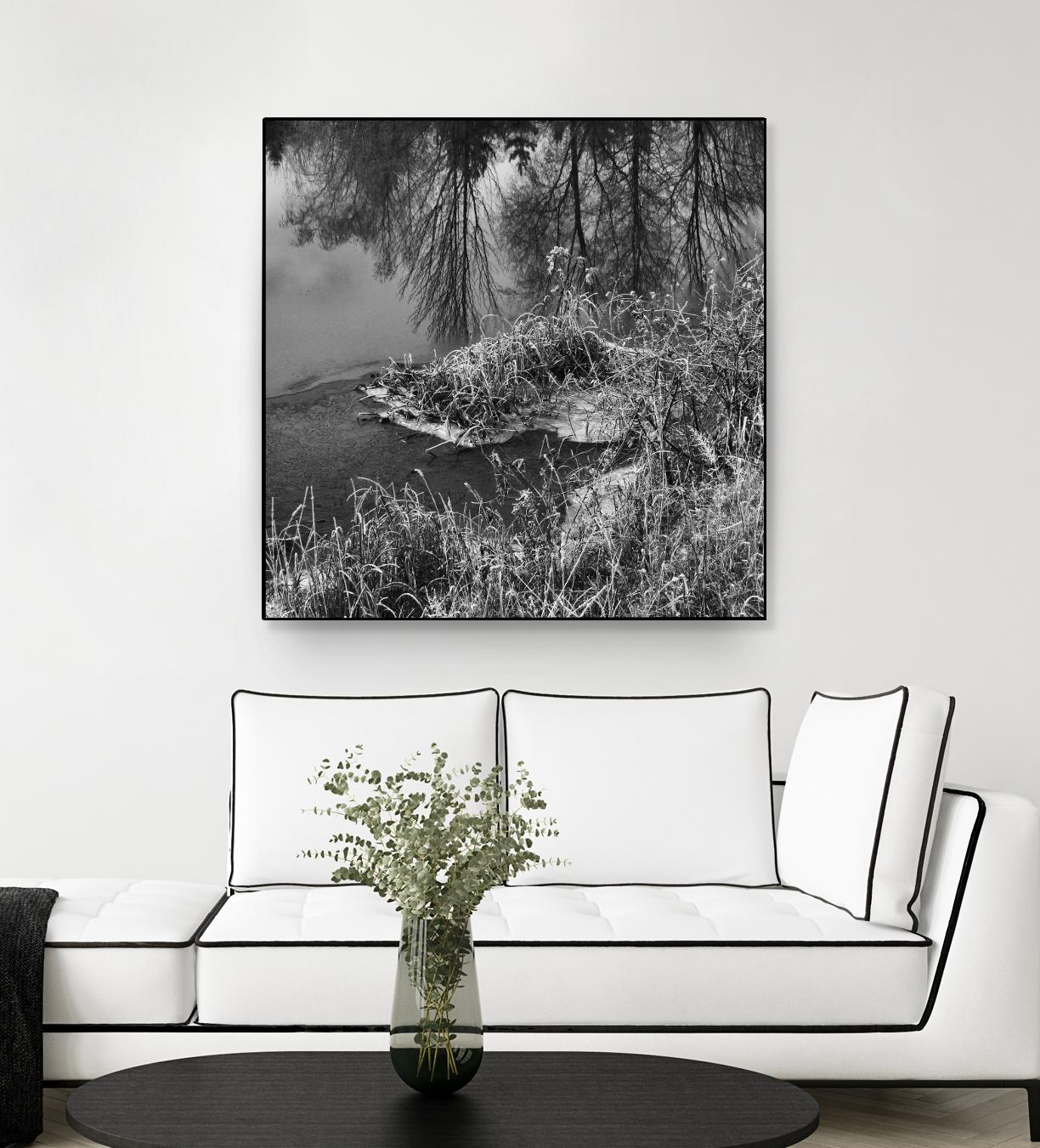 First Frost II by Jean-François Dupuis on GIANT ART - white black & white reflection