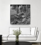 First Frost II by Jean-François Dupuis on GIANT ART - white black & white reflection