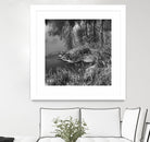 First Frost II by Jean-François Dupuis on GIANT ART - white black & white reflection