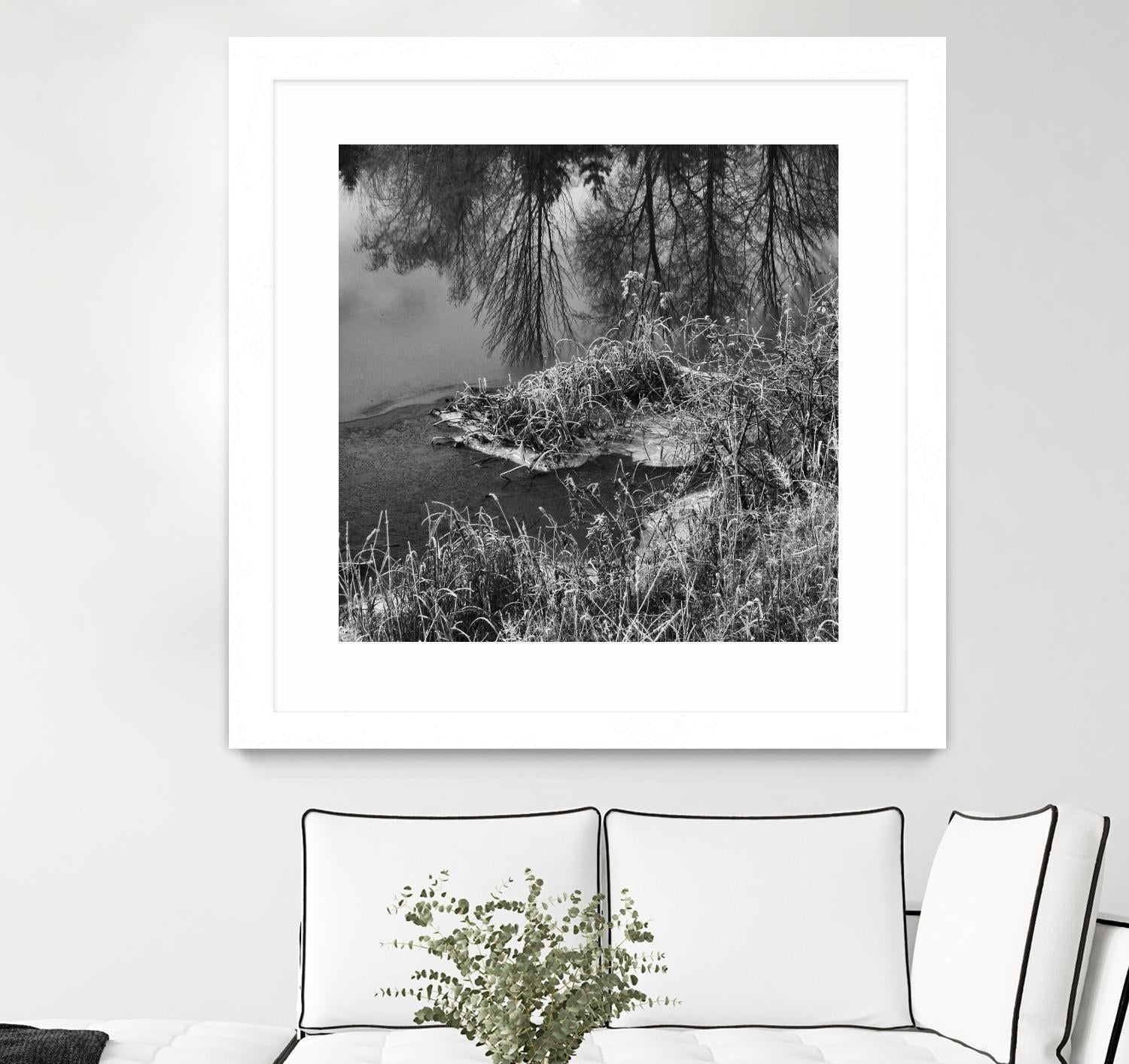 First Frost II by Jean-François Dupuis on GIANT ART - white black & white reflection