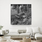 First Frost II by Jean-François Dupuis on GIANT ART - white black & white reflection