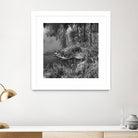 First Frost II by Jean-François Dupuis on GIANT ART - white black & white reflection