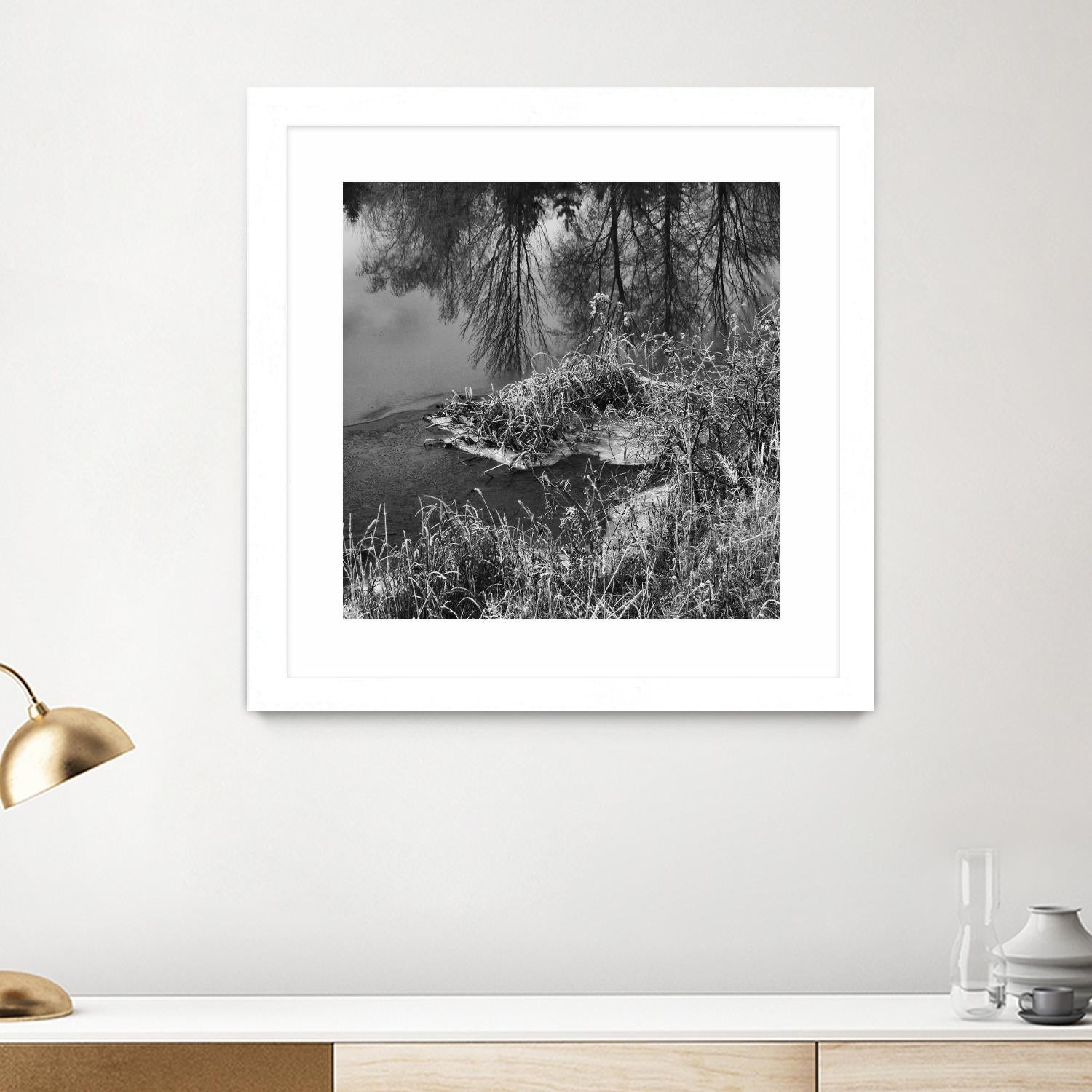 First Frost II by Jean-François Dupuis on GIANT ART - white black & white reflection