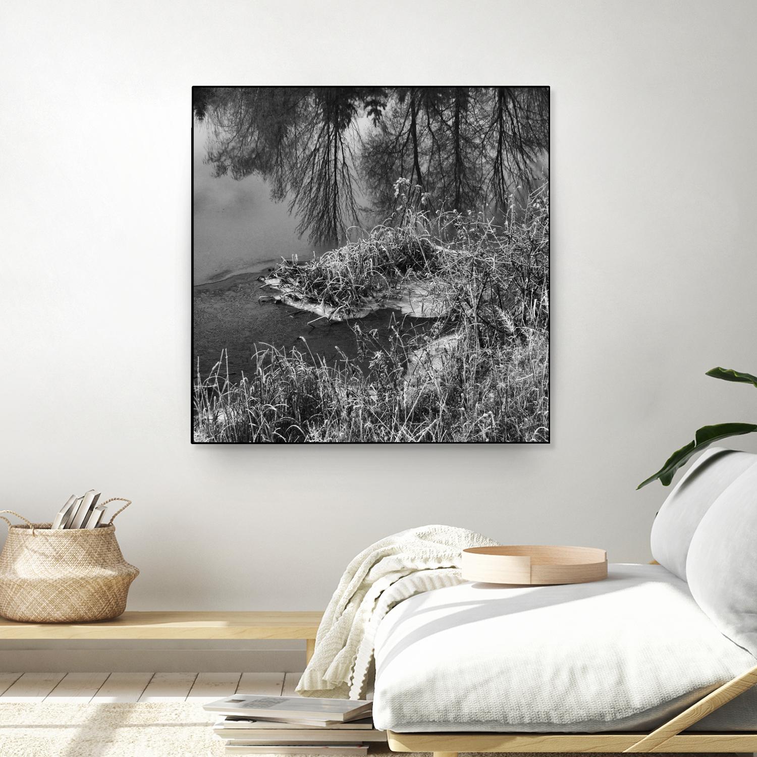 First Frost II by Jean-François Dupuis on GIANT ART - white black & white reflection