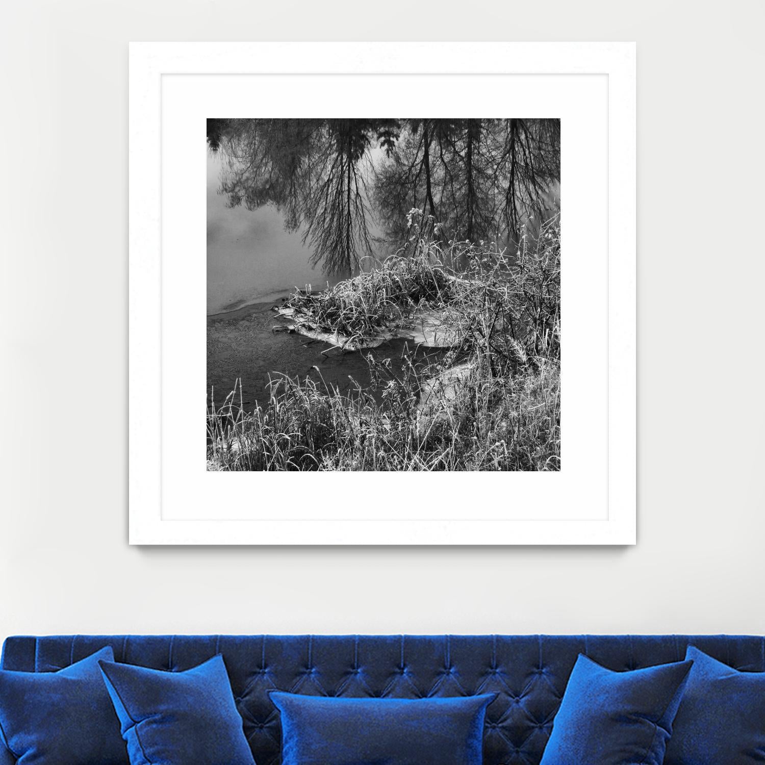 First Frost II by Jean-François Dupuis on GIANT ART - white black & white reflection