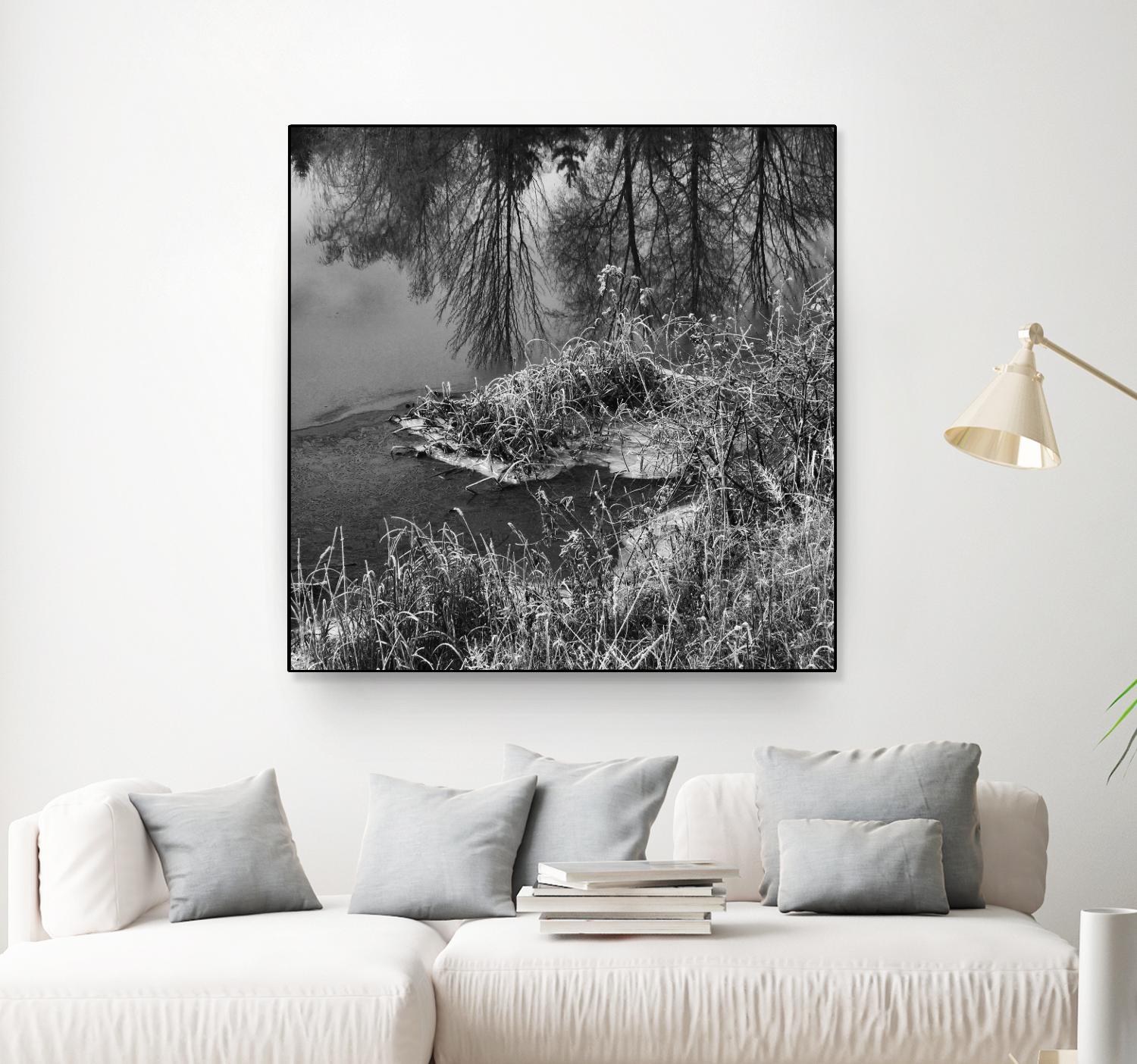 First Frost II by Jean-François Dupuis on GIANT ART - white black & white reflection