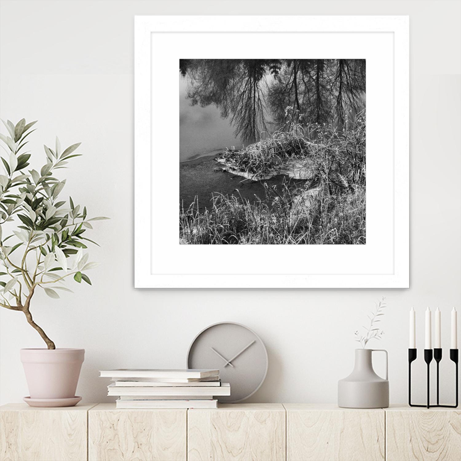 First Frost II by Jean-François Dupuis on GIANT ART - white black & white reflection