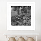 First Frost II by Jean-François Dupuis on GIANT ART - white black & white reflection