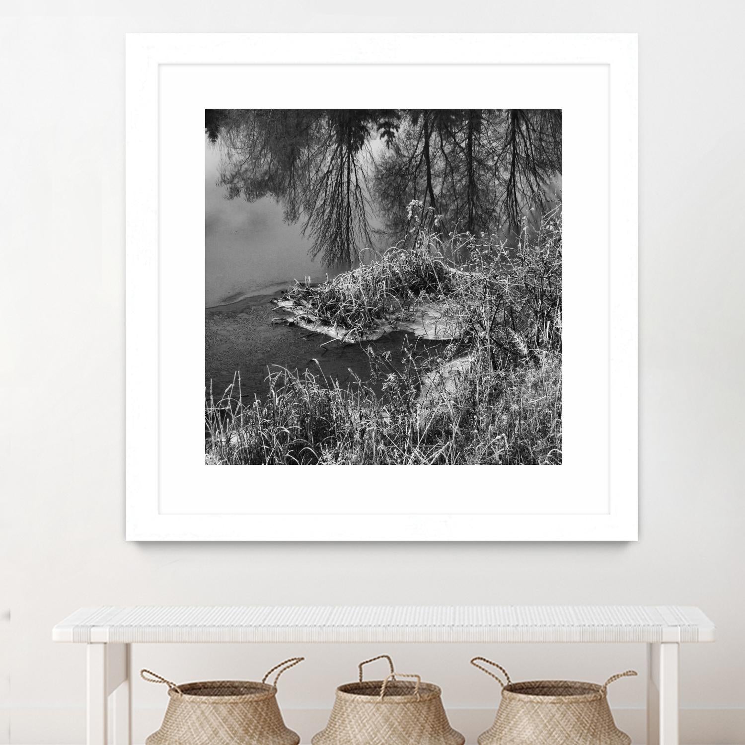 First Frost II by Jean-François Dupuis on GIANT ART - white black & white reflection