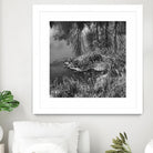 First Frost II by Jean-François Dupuis on GIANT ART - white black & white reflection