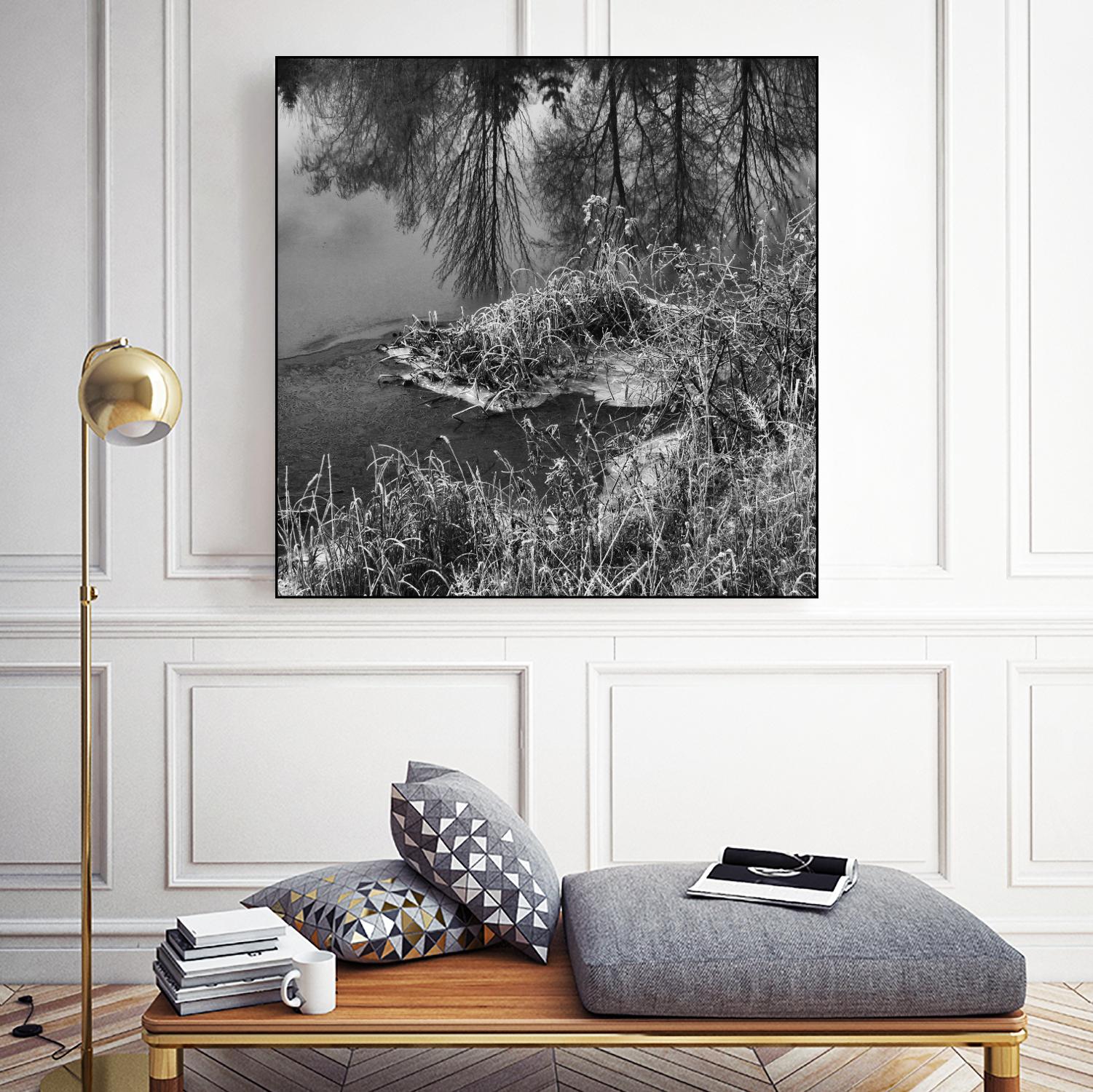 First Frost II by Jean-François Dupuis on GIANT ART - white black & white reflection