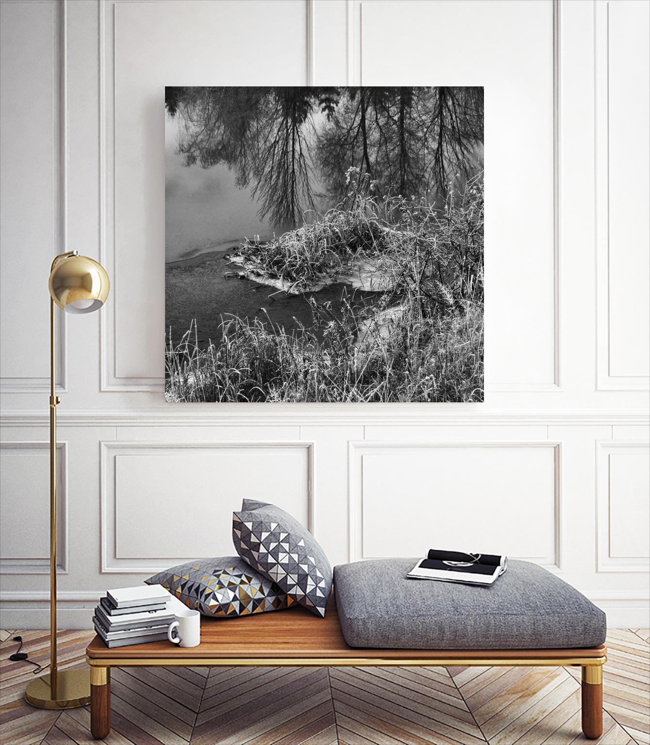 First Frost II by Jean-François Dupuis on GIANT ART - white black & white reflection