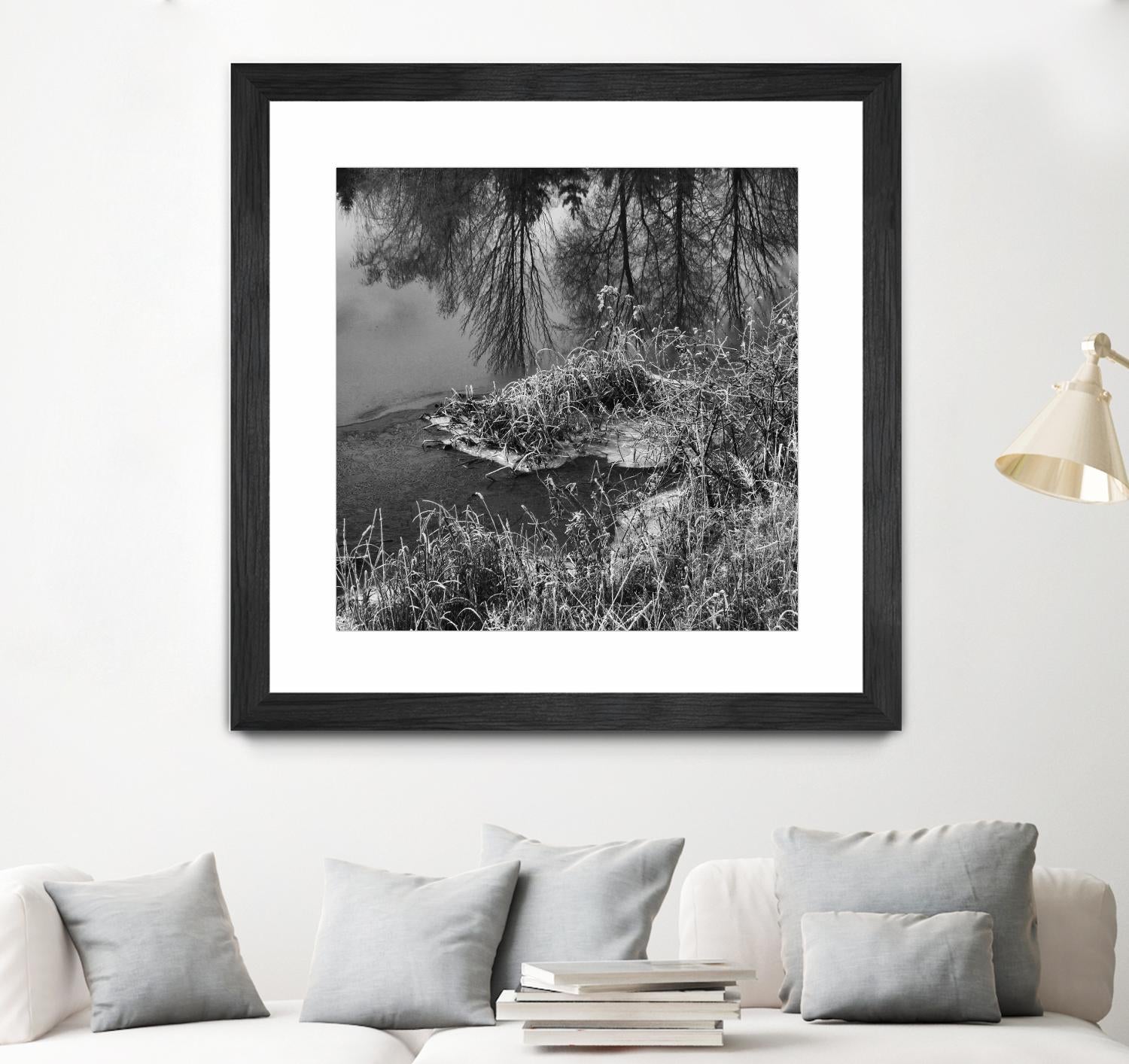 First Frost II by Jean-François Dupuis on GIANT ART - white black & white reflection