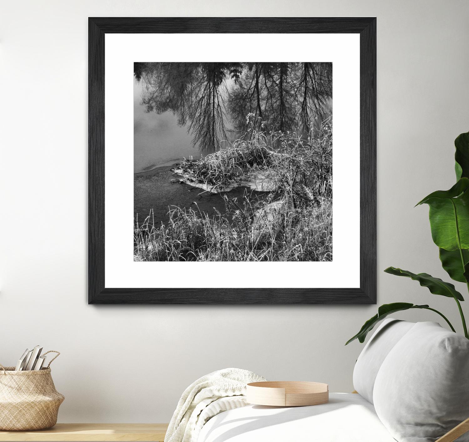 First Frost II by Jean-François Dupuis on GIANT ART - white black & white reflection