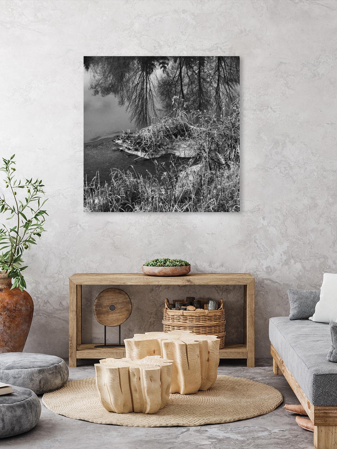 First Frost II by Jean-François Dupuis on GIANT ART - white black & white reflection