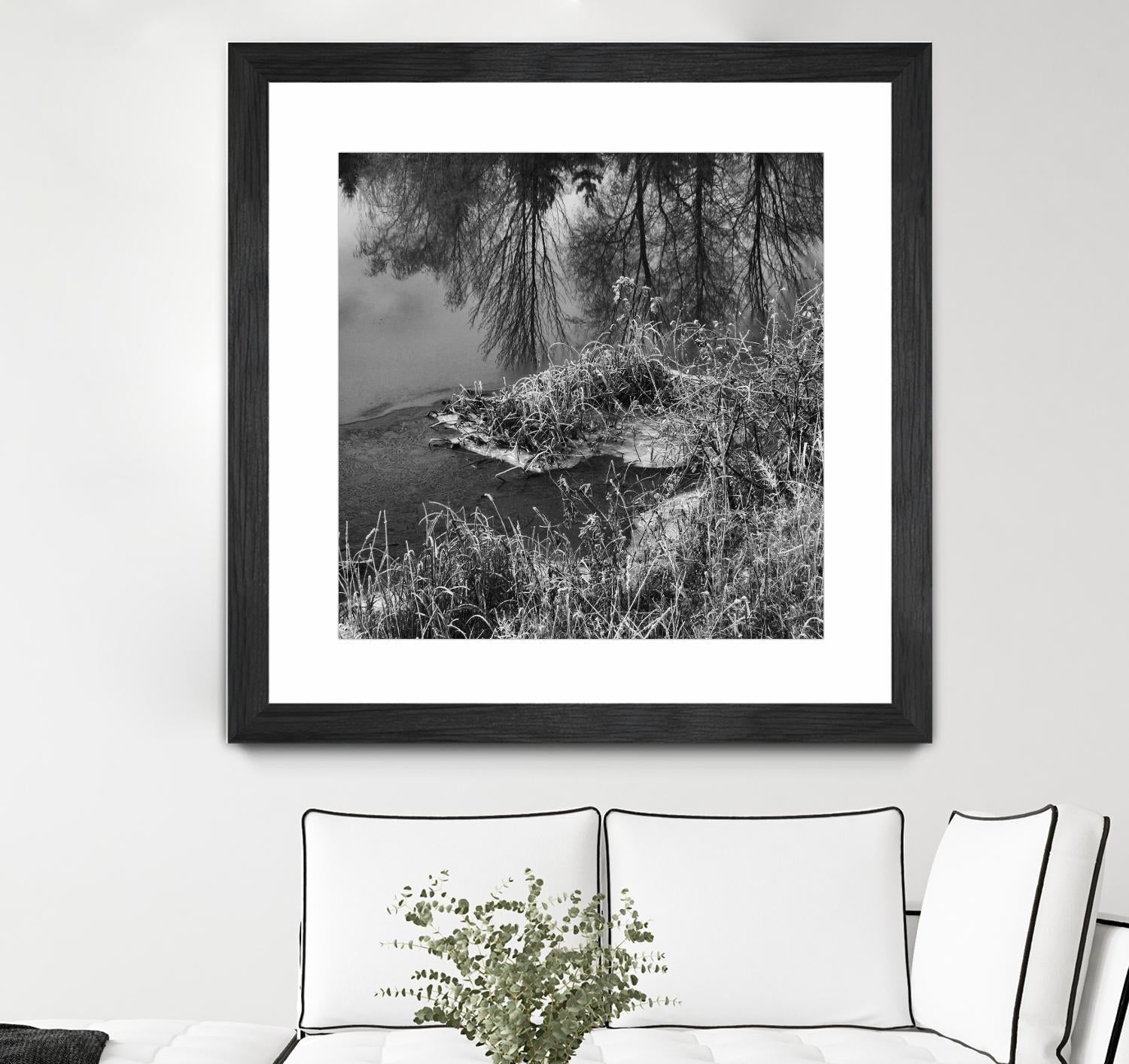 First Frost II by Jean-François Dupuis on GIANT ART - white black & white reflection