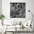 First Frost II by Jean-François Dupuis on GIANT ART - white black & white reflection