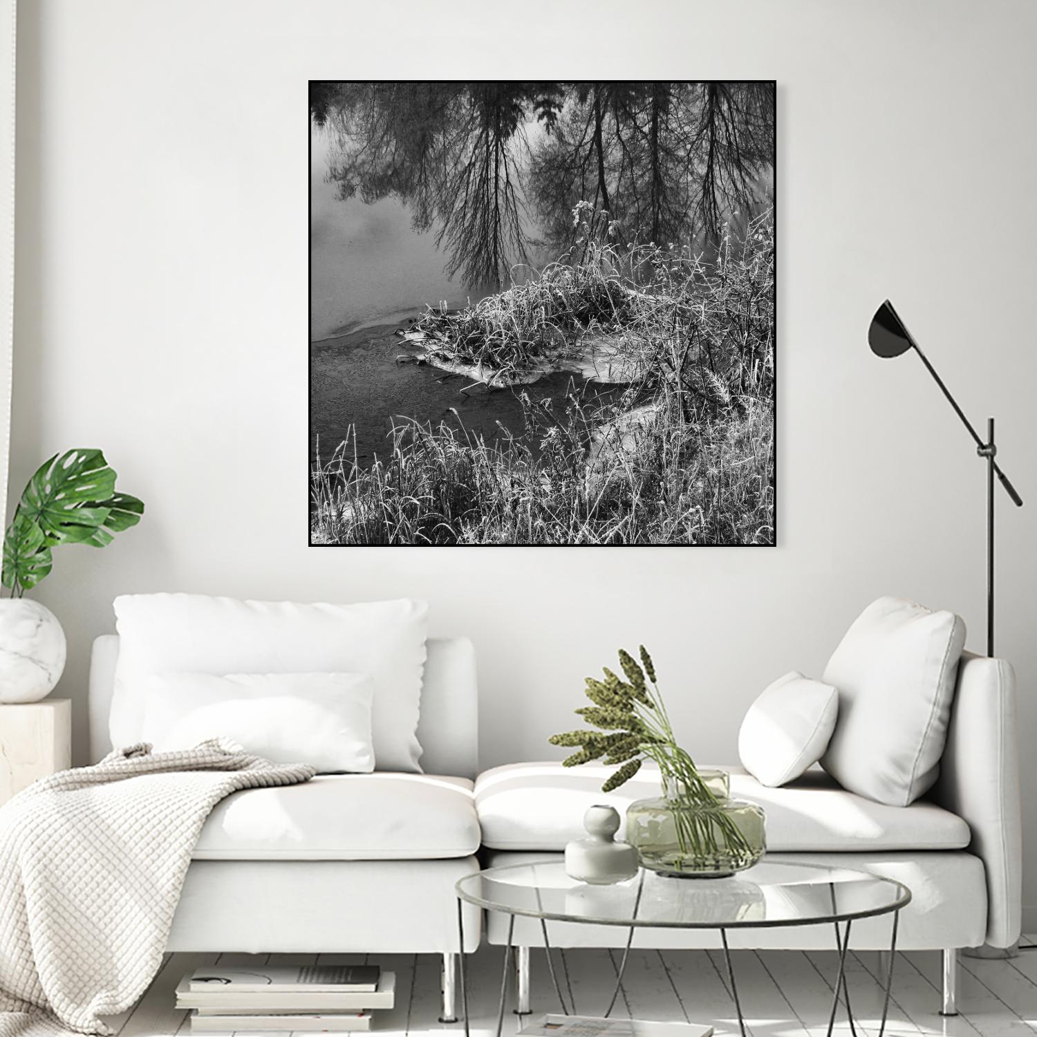 First Frost II by Jean-François Dupuis on GIANT ART - white black & white reflection