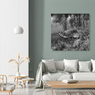 First Frost II by Jean-François Dupuis on GIANT ART - white black & white reflection