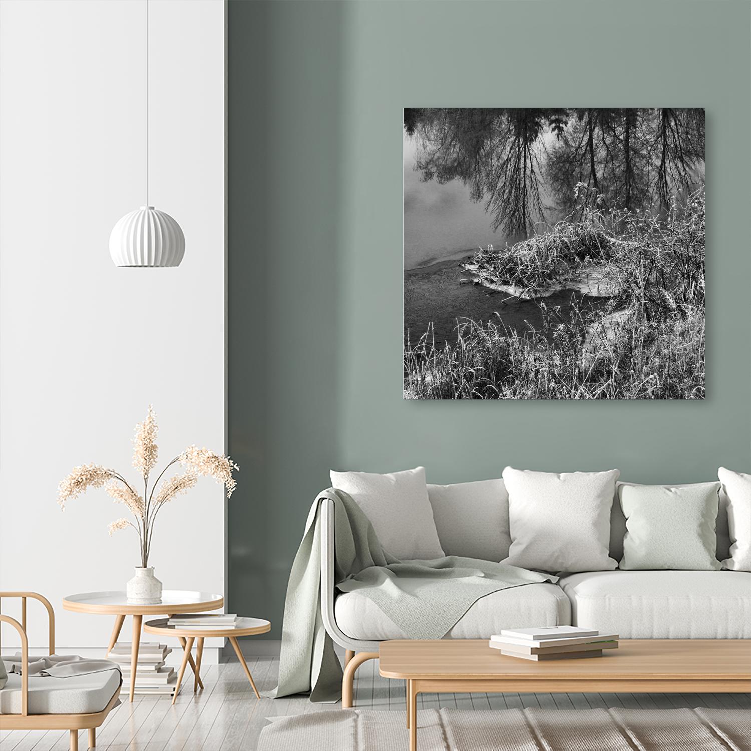 First Frost II by Jean-François Dupuis on GIANT ART - white black & white reflection