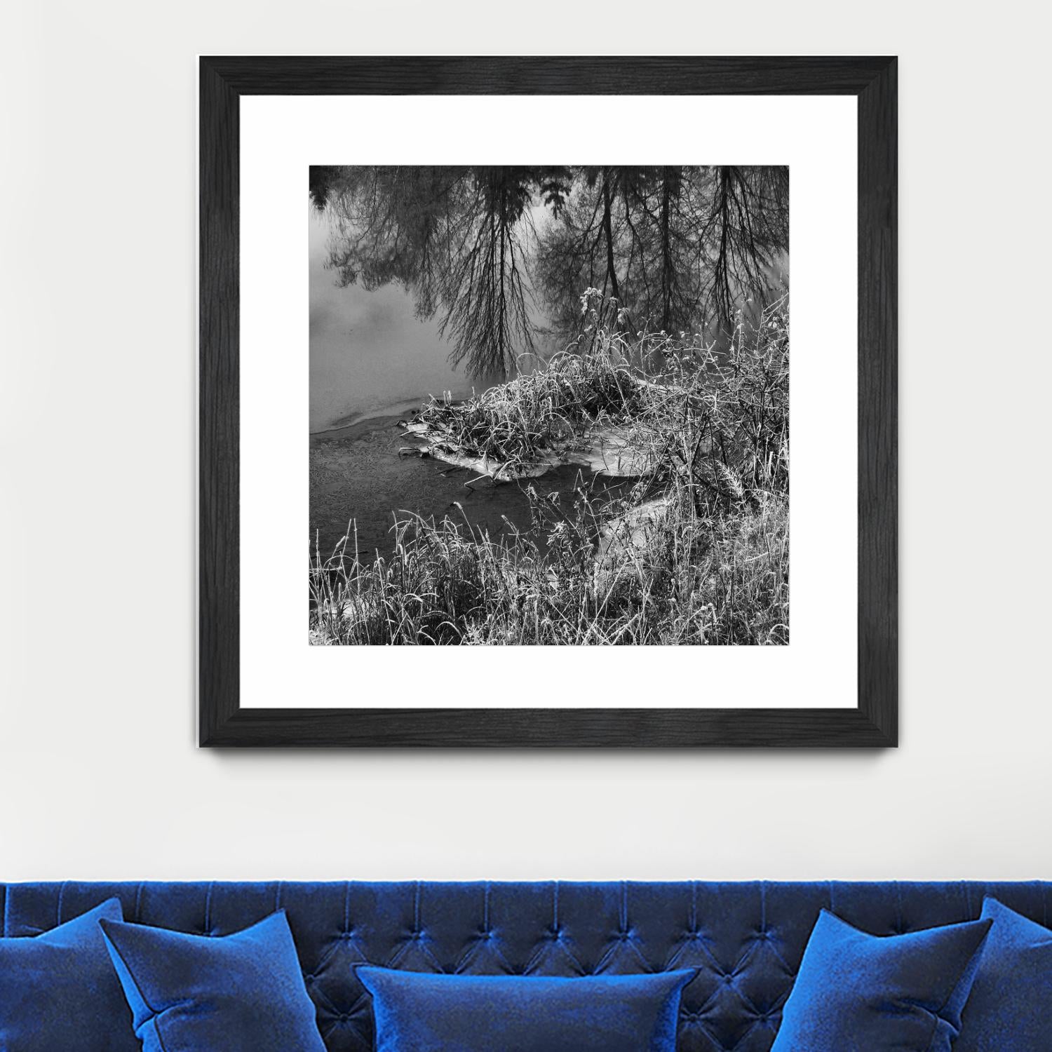 First Frost II by Jean-François Dupuis on GIANT ART - white black & white reflection