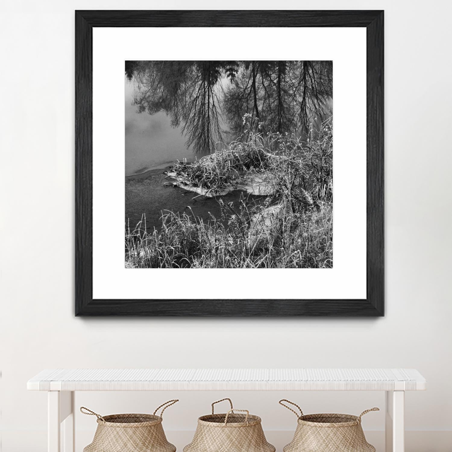 First Frost II by Jean-François Dupuis on GIANT ART - white black & white reflection