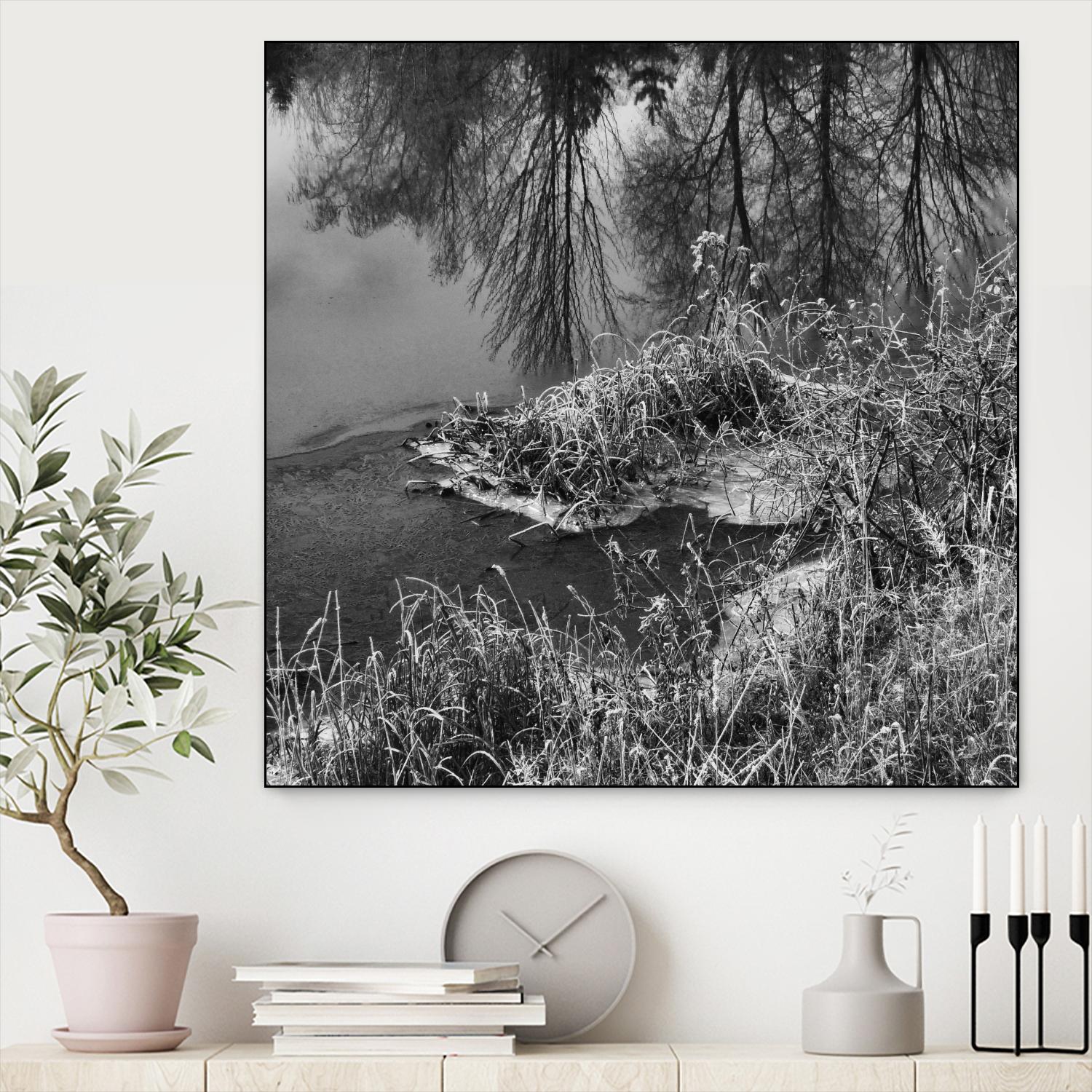 First Frost II by Jean-François Dupuis on GIANT ART - white black & white reflection