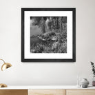 First Frost II by Jean-François Dupuis on GIANT ART - white black & white reflection