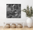 First Frost II by Jean-François Dupuis on GIANT ART - white black & white reflection