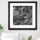 First Frost II by Jean-François Dupuis on GIANT ART - white black & white reflection