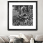 First Frost II by Jean-François Dupuis on GIANT ART - white black & white reflection