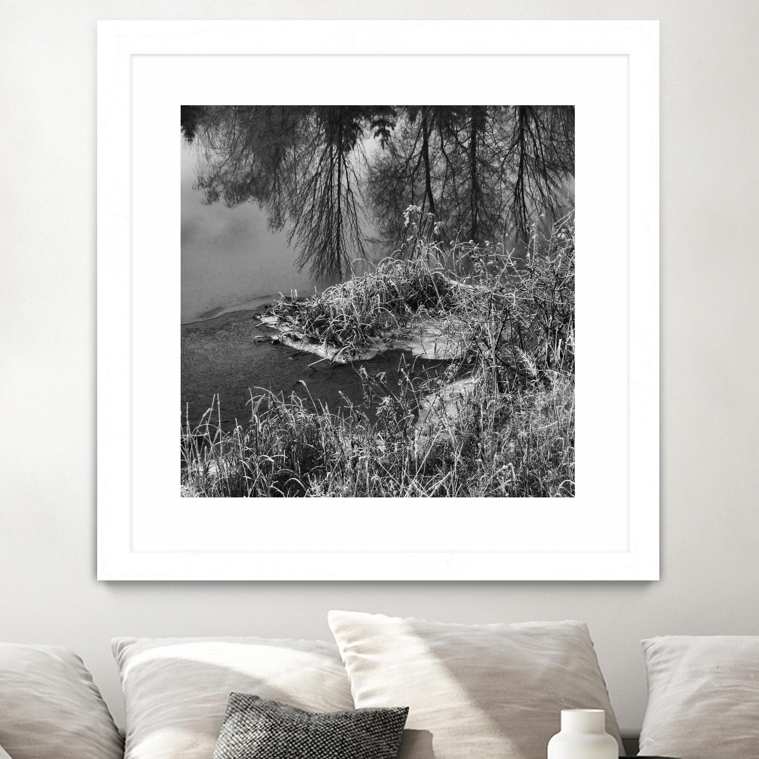 First Frost II by Jean-François Dupuis on GIANT ART - white black & white reflection