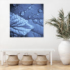 Attachement by Jean-François Dupuis on GIANT ART - blue botanical canadian arts