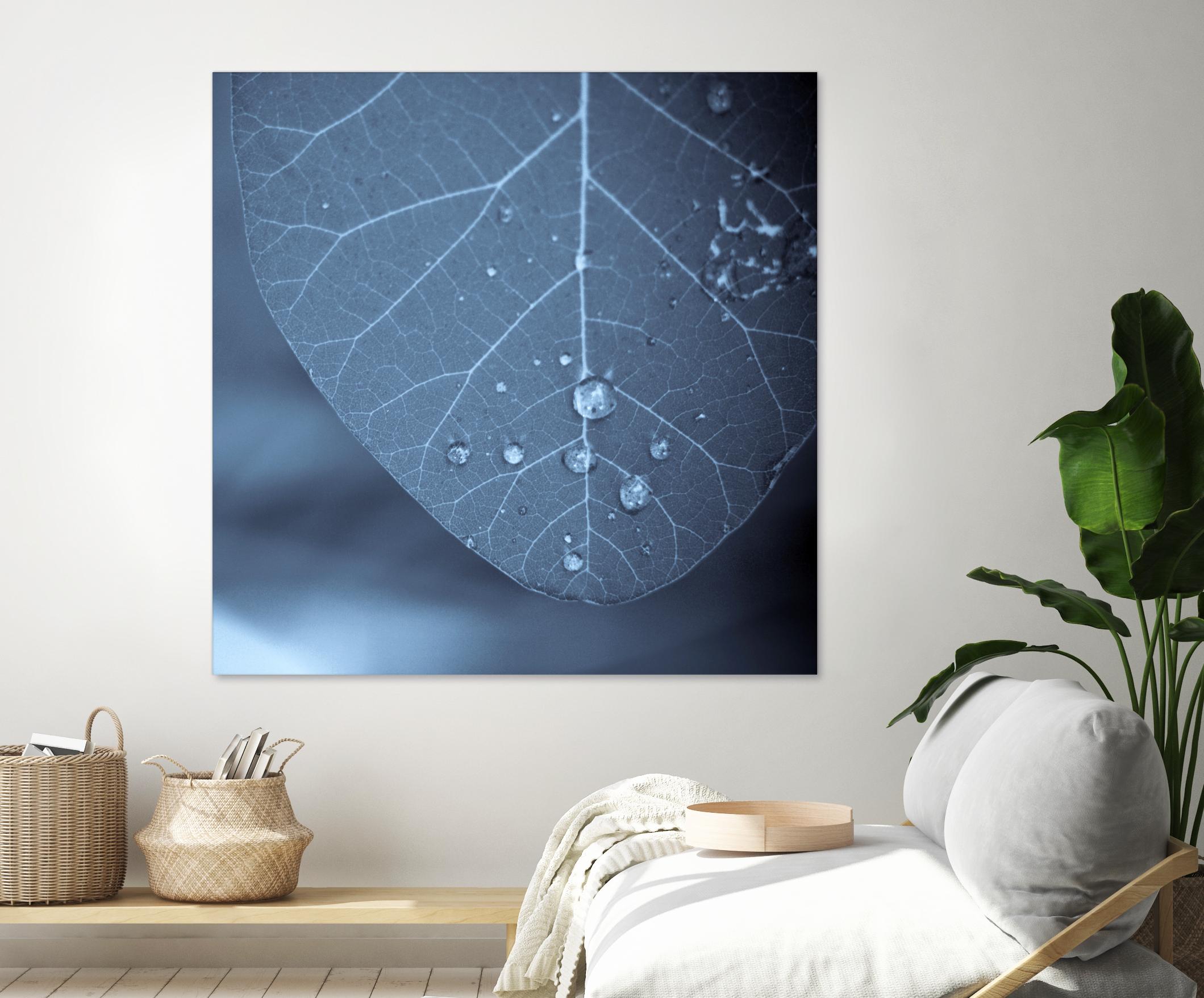 Tendresse by Jean-François Dupuis on GIANT ART - blue photo art