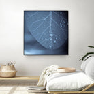 Tendresse by Jean-François Dupuis on GIANT ART - blue photo art