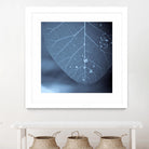 Tendresse by Jean-François Dupuis on GIANT ART - blue photo art