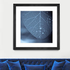 Tendresse by Jean-François Dupuis on GIANT ART - blue photo art