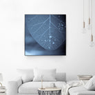 Tendresse by Jean-François Dupuis on GIANT ART - blue photo art