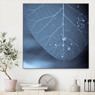 Tendresse by Jean-François Dupuis on GIANT ART - blue photo art