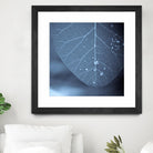 Tendresse by Jean-François Dupuis on GIANT ART - blue photo art