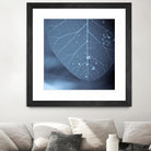 Tendresse by Jean-François Dupuis on GIANT ART - blue photo art