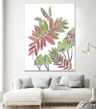 Mimosa - Magenta - 13 by Lori Dubois on GIANT ART - pink botanical leaves