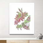 Mimosa - Magenta - 13 by Lori Dubois on GIANT ART - pink botanical leaves